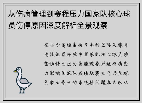从伤病管理到赛程压力国家队核心球员伤停原因深度解析全景观察